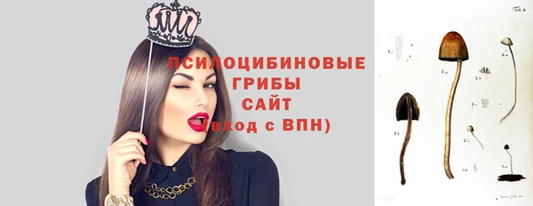 молекула духа Новодвинск