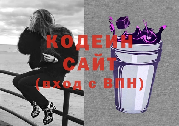 молекула духа Новодвинск