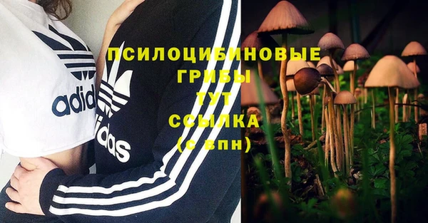 молекула духа Новодвинск