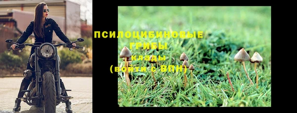 молекула духа Новодвинск
