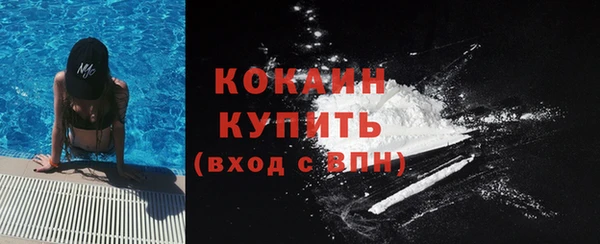 молекула духа Новодвинск