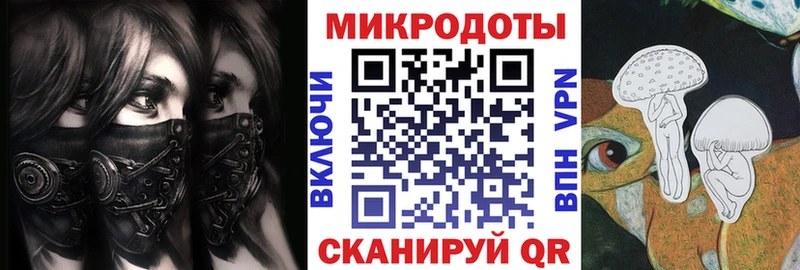 купить наркотики цена  Пыталово  Псилоцибиновые грибы Psilocybe 
